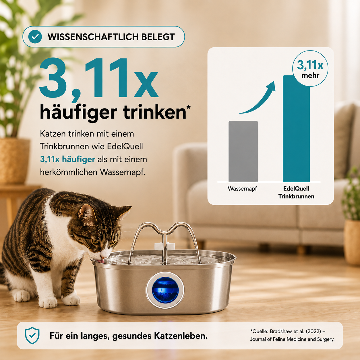 EdelQuell 2.0 Katzenbrunnen